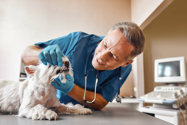 Best Emergency TMJ Treatment in Goose Creek Village, VA