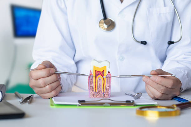Best Emergency TMJ Treatment in Goose Creek Village, VA